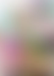 Bitch ni Natta Kuro Gal Nee-chan to Irekawari Seikatsu 1 al 3