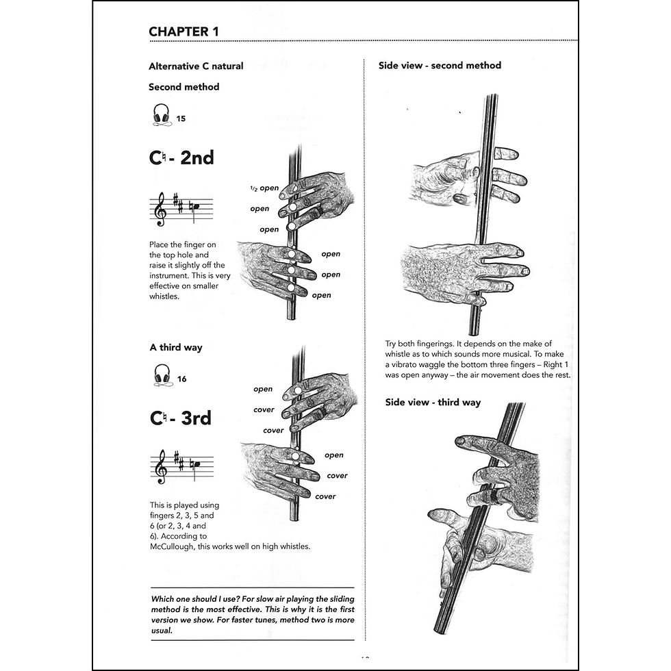 Thumbnail: The Low Whistle Book - Stéfán Hannigan and David Ledsam