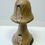 Thumbnail: Spalted Maple Toadstool