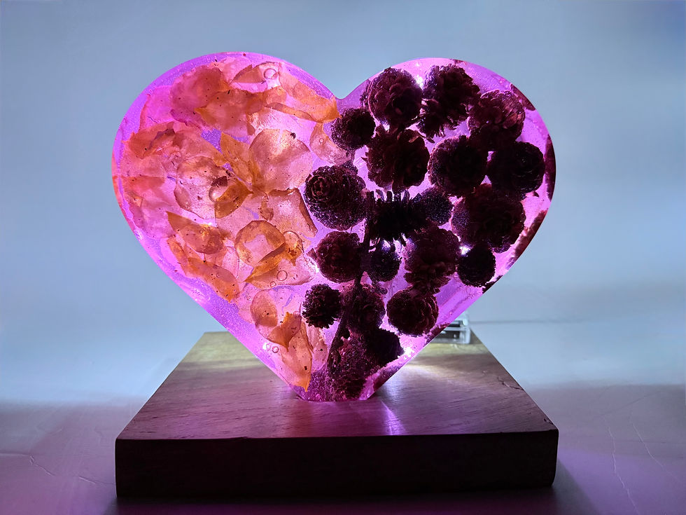 Thumbnail: Rose Petal and Fir Cone Light-up Heart
