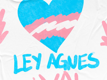 Ley Agnes - Ley Trans en Puebla ya es una realidad