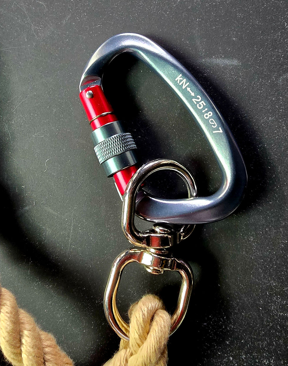 Thumbnail: Devon Made 12mm Marine Grade Rope Lead with Locking Carabiner Choice of Colour