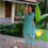 Thumbnail: Zesty Festy Salwar Set - Teal