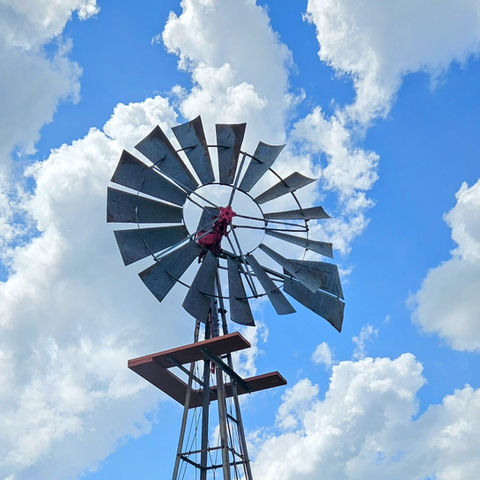 8 Ft Dempster No 12- Morgan, TX