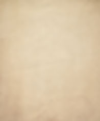 AdobeStock_253261152.jpeg