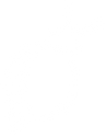 white snail logo