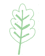 moreflora-03.png