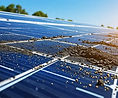 dirty-solar-panel-768x439.jpg