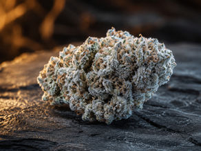 Ice rock CBD posé sur ardoise sombre — cristaux de cannabidiol visibles, concentré naturel sans solvant — Exodus CBD