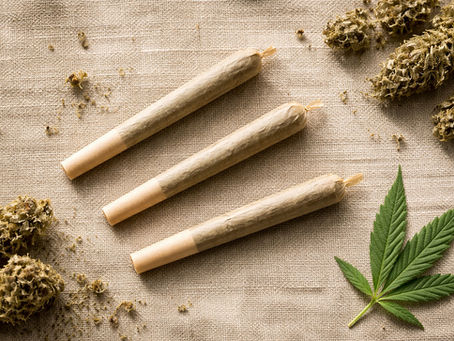 Trois pré-roulées CBD en chanvre sans tabac posées sur du lin brut avec des fleurs séchées