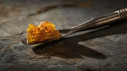 Wax CBD concentré sur outil dab — texture amber-or caractéristique des extraits cannabidiol — Exodus CBD