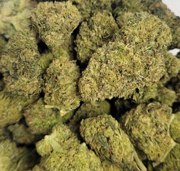 Fleur CBD cryogénisée Amnésia Cryo — Exodus CBD Shop Var