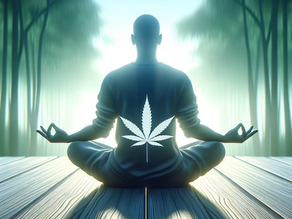 Gestion de la Douleur Chronique avec le CBD : Perspectives Innovantes