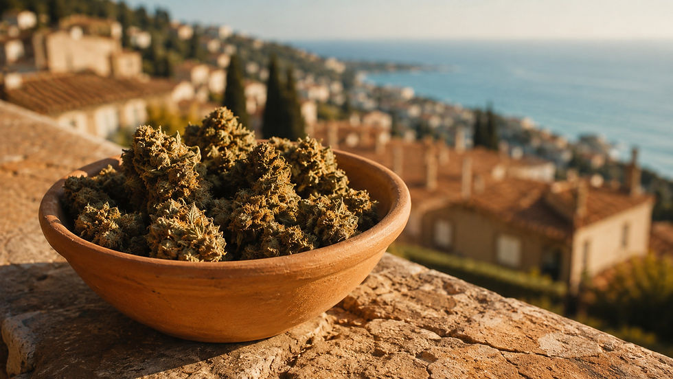 Fleurs CBD dans bol en terre cuite sur balustrade avec vue sur les toits de Le Cannet et la Côte d'Azur, livraison Exodus CBD