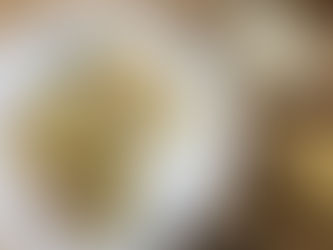 本日の夕食です