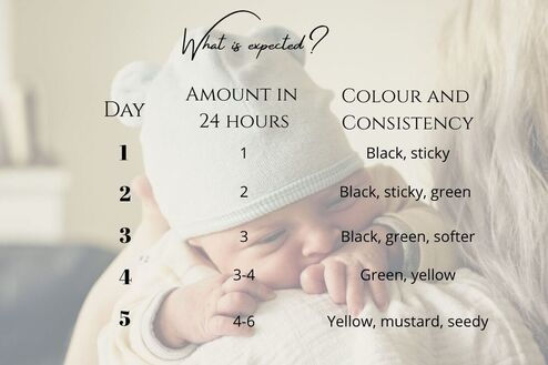 When Your Baby Isn’t Pooping: What’s Normal and What’s Not