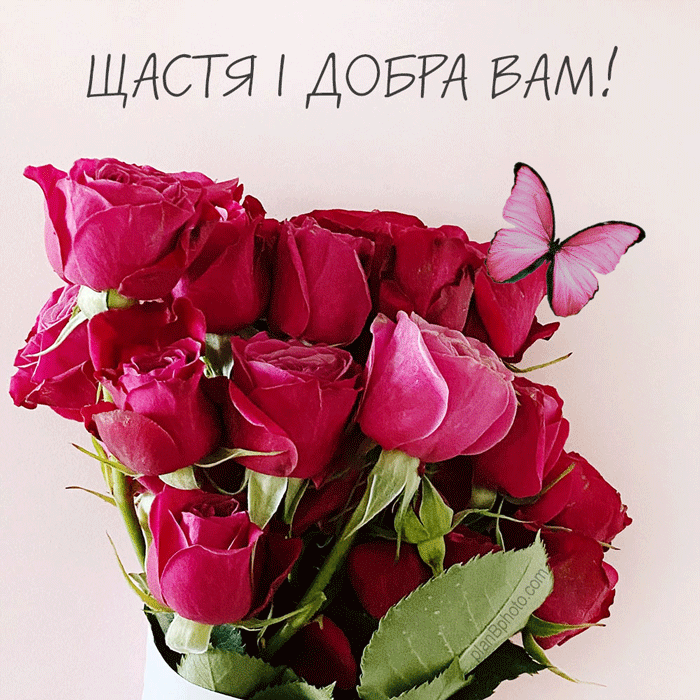 schastia-i-dobra.gif