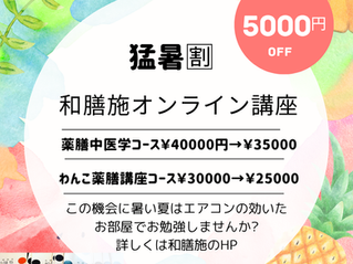 オンライン講座猛暑割り