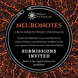 NeuroNotes.jpeg