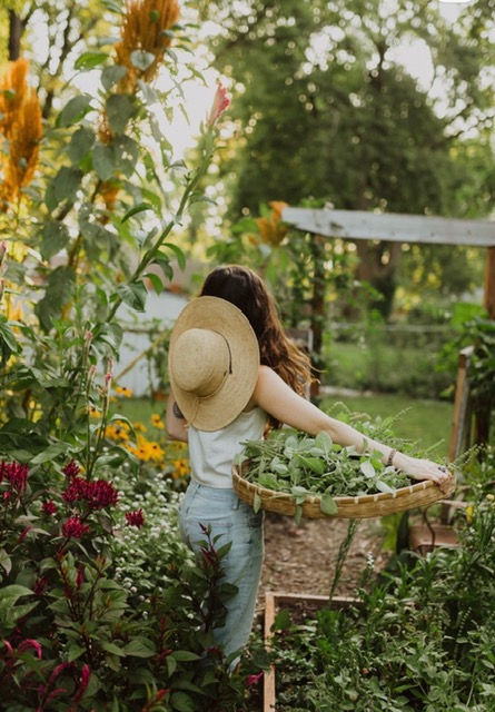 Gardening and growing my own food