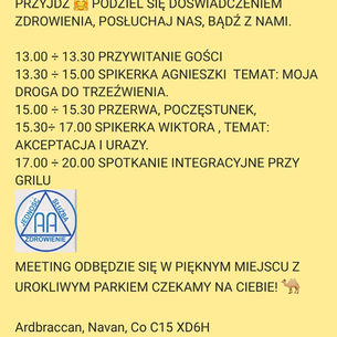 Miting Objazdowy AA – Navan