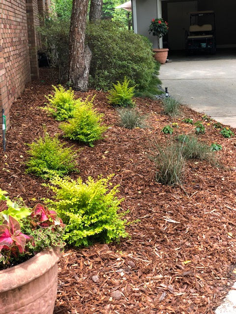 Landscape Design