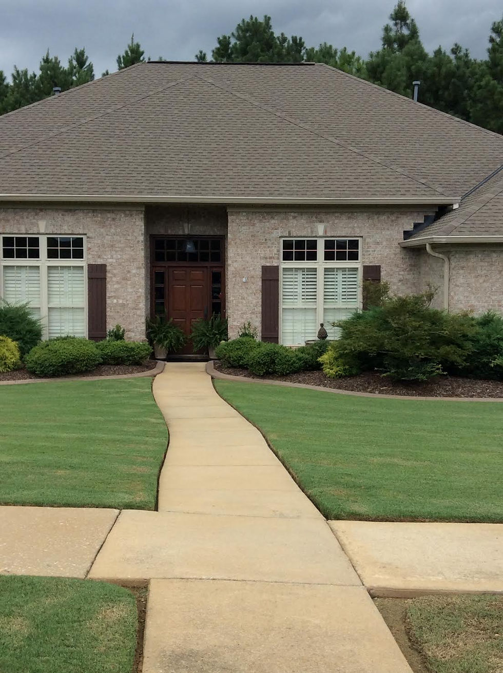 Freshly Manicured Yard