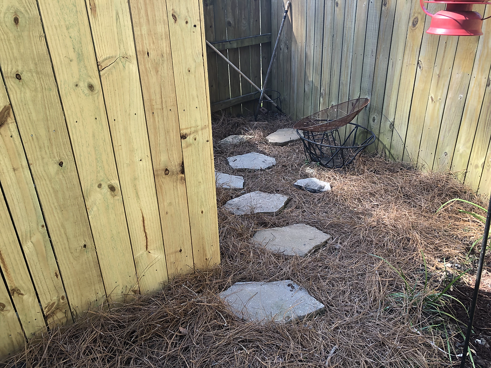 Hardscape 7:10:2020