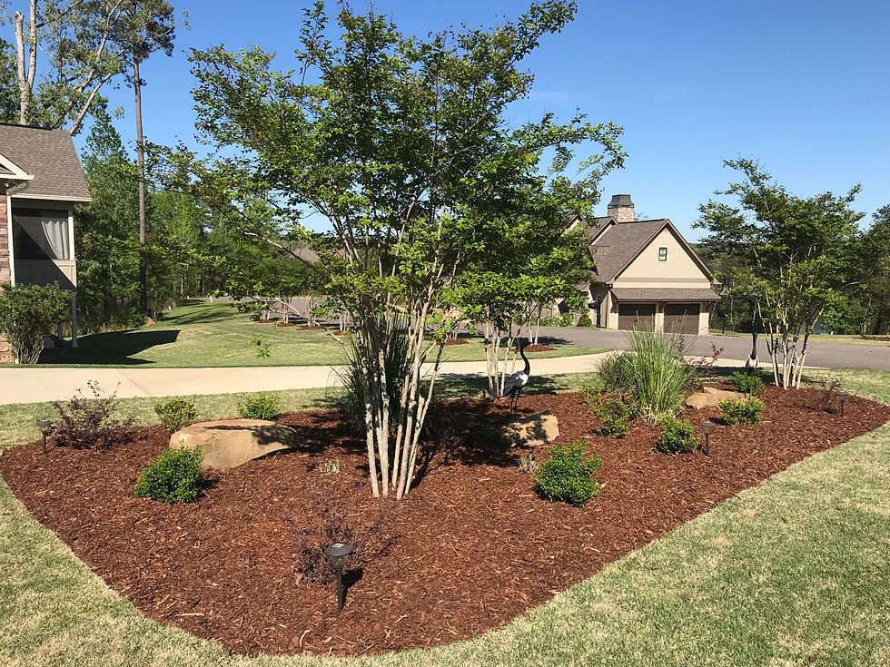 Freshly Mulched Bed