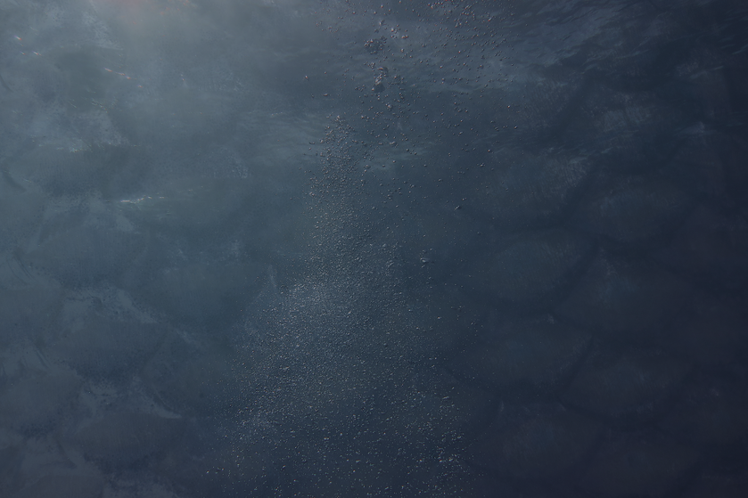 SIREN banners (1).png