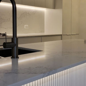 Chatswood House Kitchen
