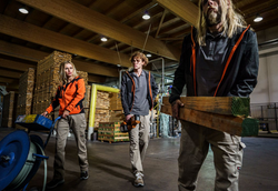 Vêtement pro metier du bois