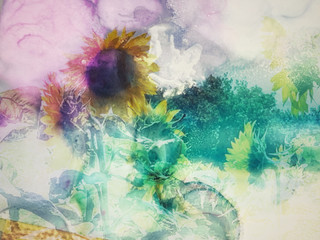 Face the Sun