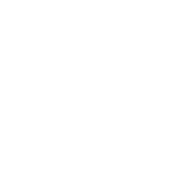 wired-outline-2524-engine-bolt-hover-pinch.gif