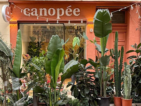 Canopée Marseille Opéra 8 rue Francis Davso 13001 : Le Fleuriste du centre ville de Marseille