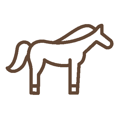 wired-outline-1153-horse-hover-pinch.gif