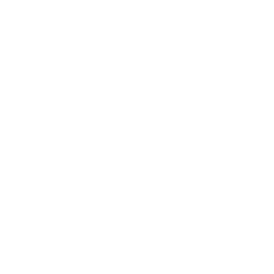 wired-outline-2607-secure-payments-hover-pinch.gif