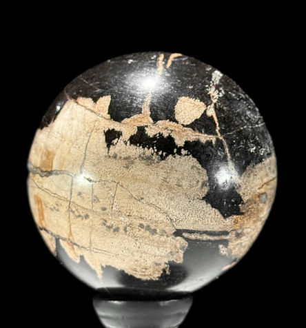 Sphère boule bois fossilisé pétrifié (11).jpg