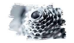 assets.png