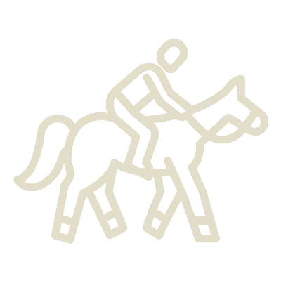 wired-outline-1790-horseback-riding-hover-pinch (1).gif