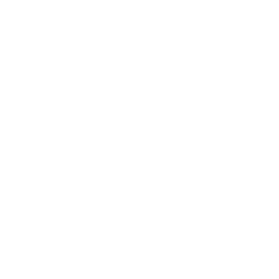 wired-outline-457-shield-check-hover-pinch.gif