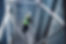factory-silos-worker-standing-metal-platform-industrial-storage-tanks-looking-tablet-about