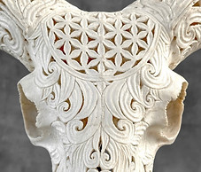Véritable-crâne-de-bélier-sculpté-motif-fleur-de-vie (2).jpg