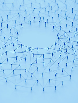 Broches interconnectées formant un réseau