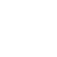 wired-outline-186-puzzle-hover-detach.gif