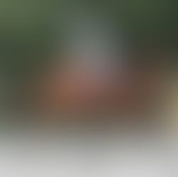 Nos cours particuliers