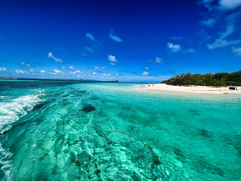 île Plate - Île Maurice