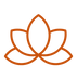 fleur de lotus