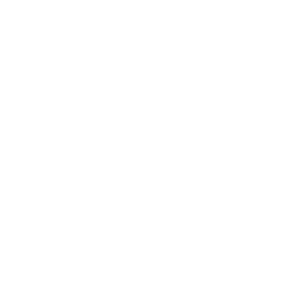 wired-outline-1409-files-compare-hover-pinch.gif
