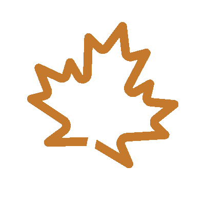 wired-outline-1830-maple-leaf-hover-pinch.gif